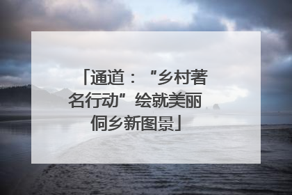 通道：“乡村著名行动”绘就美丽侗乡新图景