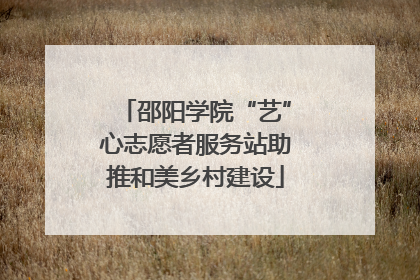 邵阳学院“艺”心志愿者服务站助推和美乡村建设