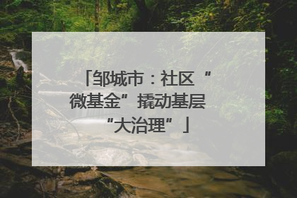 邹城市：社区“微基金”撬动基层“大治理”