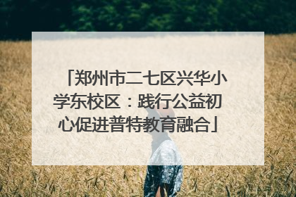 郑州市二七区兴华小学东校区：践行公益初心促进普特教育融合