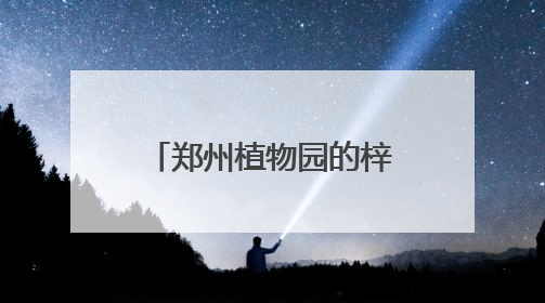 郑州植物园的梓树结“豆角”了