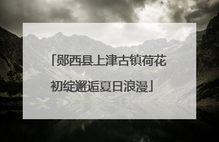 郧西县上津古镇荷花初绽邂逅夏日浪漫
