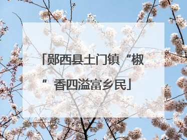 郧西县土门镇“椒”香四溢富乡民
