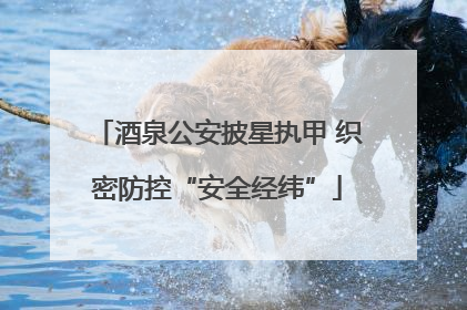 酒泉公安披星执甲 织密防控“安全经纬”