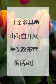 金乡县鱼山街道开展医保政策宣传活动