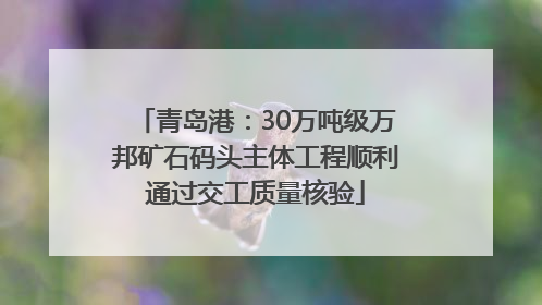 青岛港：30万吨级万邦矿石码头主体工程顺利通过交工质量核验