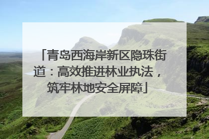 青岛西海岸新区隐珠街道：高效推进林业执法，筑牢林地安全屏障