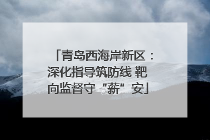 青岛西海岸新区：深化指导筑防线 靶向监督守“薪”安
