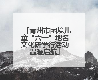 青州市困境儿童“六一”地名文化研学行活动温暖启航
