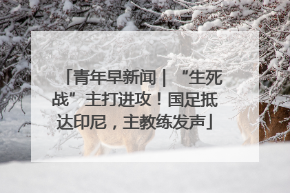 青年早新闻｜“生死战”主打进攻！国足抵达印尼，主教练发声
