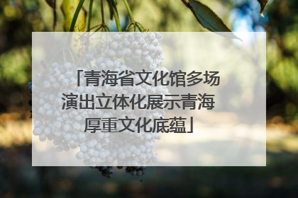 青海省文化馆多场演出立体化展示青海厚重文化底蕴