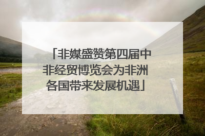 非媒盛赞第四届中非经贸博览会为非洲各国带来发展机遇