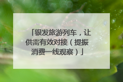银发旅游列车，让供需有效对接（提振消费一线观察）