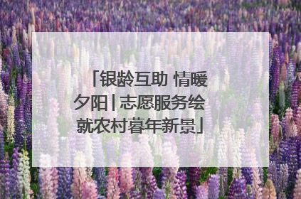 银龄互助 情暖夕阳│志愿服务绘就农村暮年新景