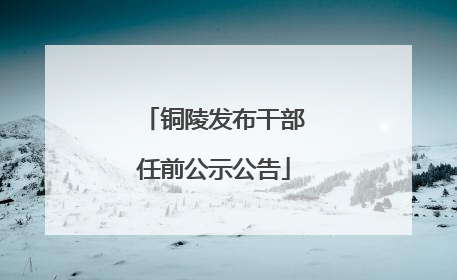 铜陵发布干部任前公示公告