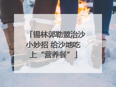 锡林郭勒盟治沙小妙招 给沙地吃上“营养餐”