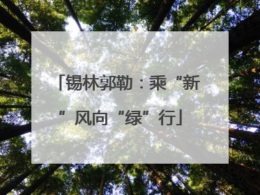 锡林郭勒：乘“新”风向“绿”行