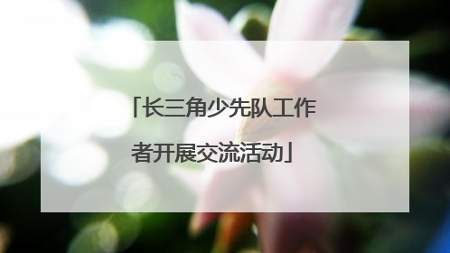 长三角少先队工作者开展交流活动
