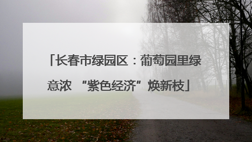 长春市绿园区：葡萄园里绿意浓 “紫色经济”焕新枝