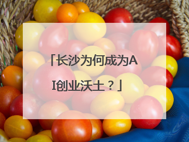长沙为何成为AI创业沃土？