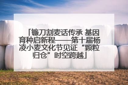 镰刀割麦话传承 基因育种启新程——第十届杨凌小麦文化节见证“颗粒归仓”时空跨越