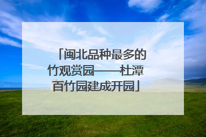 闽北品种最多的竹观赏园——杜潭百竹园建成开园