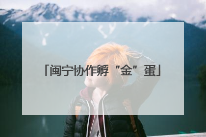 闽宁协作孵“金”蛋