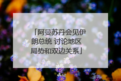 阿曼苏丹会见伊朗总统 讨论地区局势和双边关系