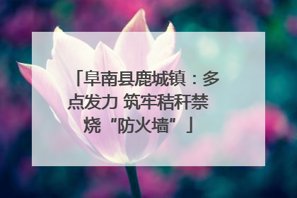 阜南县鹿城镇：多点发力 筑牢秸秆禁烧“防火墙”
