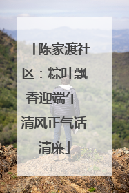 陈家渡社区：粽叶飘香迎端午 清风正气话清廉