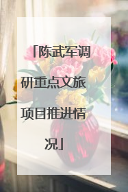 陈武军调研重点文旅项目推进情况