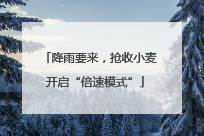 降雨要来，抢收小麦开启“倍速模式”