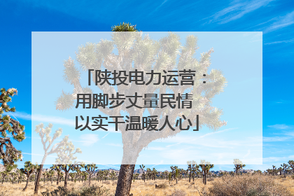 陕投电力运营：用脚步丈量民情 以实干温暖人心