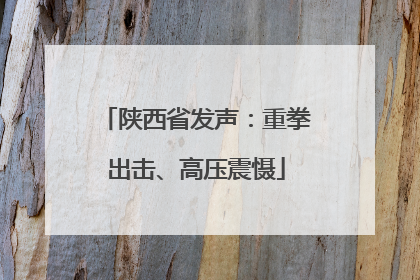 陕西省发声：重拳出击、高压震慑