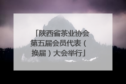 陕西省茶业协会第五届会员代表（换届）大会举行