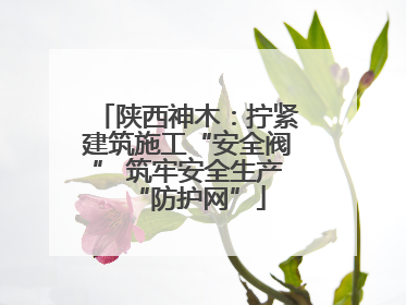陕西神木：拧紧建筑施工“安全阀” 筑牢安全生产“防护网”