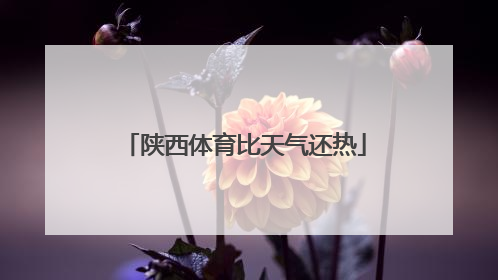 陕西体育比天气还热