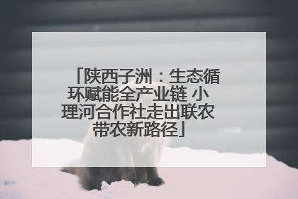 陕西子洲：生态循环赋能全产业链 小理河合作社走出联农带农新路径