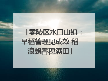 零陵区水口山镇：早稻管理见成效 稻浪飘香穗满田