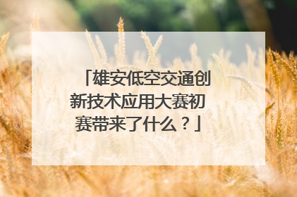 雄安低空交通创新技术应用大赛初赛带来了什么？