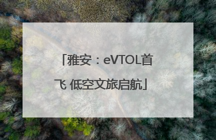 雅安：eVTOL首飞 低空文旅启航