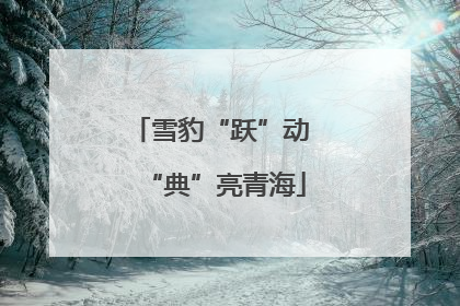 雪豹“跃”动 “典”亮青海