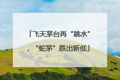 飞天茅台再“跳水”，“蛇茅”跌出新低