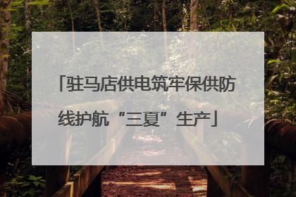 驻马店供电筑牢保供防线护航“三夏”生产