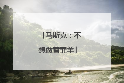 马斯克：不想做替罪羊