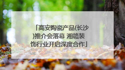 高安陶瓷产品(长沙)推介会落幕 湘赣装饰行业开启深度合作