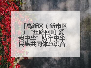 高新区（新市区）“丝路回响 爱我中华”铸牢中华民族共同体意识音乐会启幕