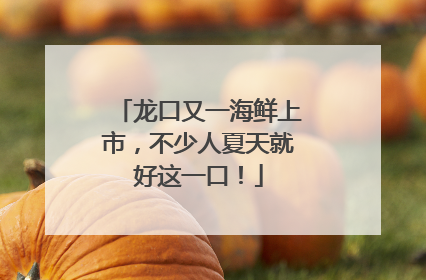 龙口又一海鲜上市，不少人夏天就好这一口！