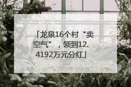 龙泉16个村“卖空气”，领到12.4192万元分红