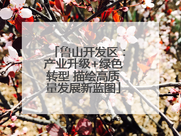 鲁山开发区：产业升级+绿色转型 描绘高质量发展新蓝图